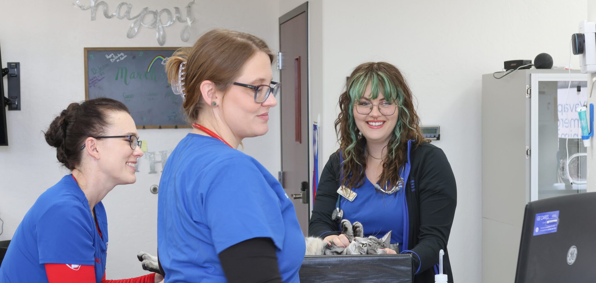 Veterinary Emergency Care in Prescott, AZ Urgent Pet Prescott